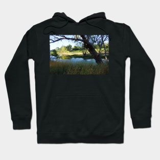 Vineyard View - Magpie Springs - Adelaide Hills Wine Region - Fleurieu Peninsula - Winery Hoodie